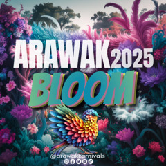 Dj Nokyo - Edition Power Jab Jab 2024 2025