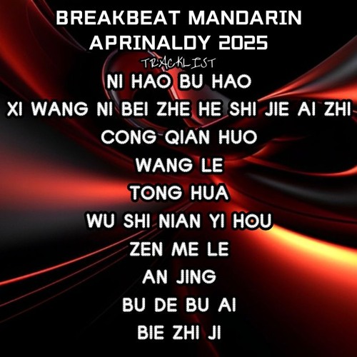 BREAKBEAT MANDARIN APRINALDY 2025 - NI HAO BU HAO X XI WANG NI BEI ZHE HE SHI JIE AI ZHI