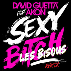 DAVID GUETTA Feat AKON - SEXY BITCH ( LES BISOUS REMIX ) Teaser