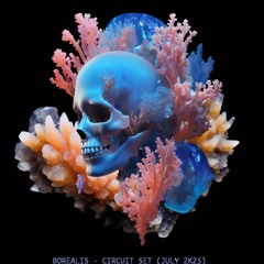 BOREALIS - Sudor y Luces Vol. 3 | 🔥Circuit Set | July 2025
