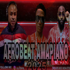 Best Afrobeats Amapiano Mix 2024 & 2025- 2 Hours - Afro Pop Mix - Wizkid - Davido - Asake - Tems