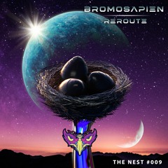 BroMosapien - Reroute [THE NEST #009]