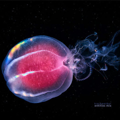 Entities Mix