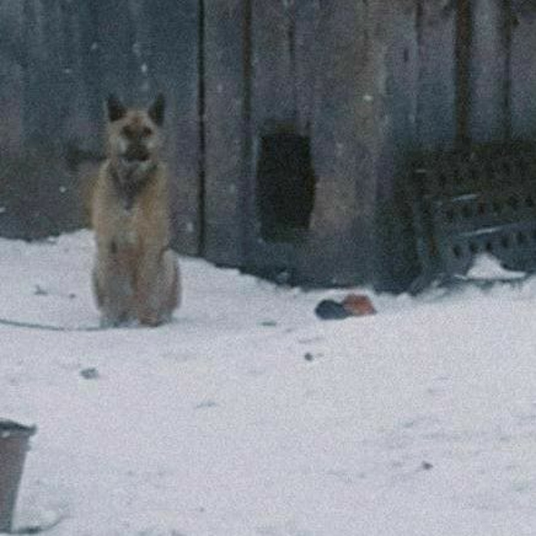 Stream . by zxzxzxz | Listen online for free on SoundCloud