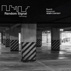 Ruud S - Metaphysic (Original Mix)(Cut)Random Signal Recordings