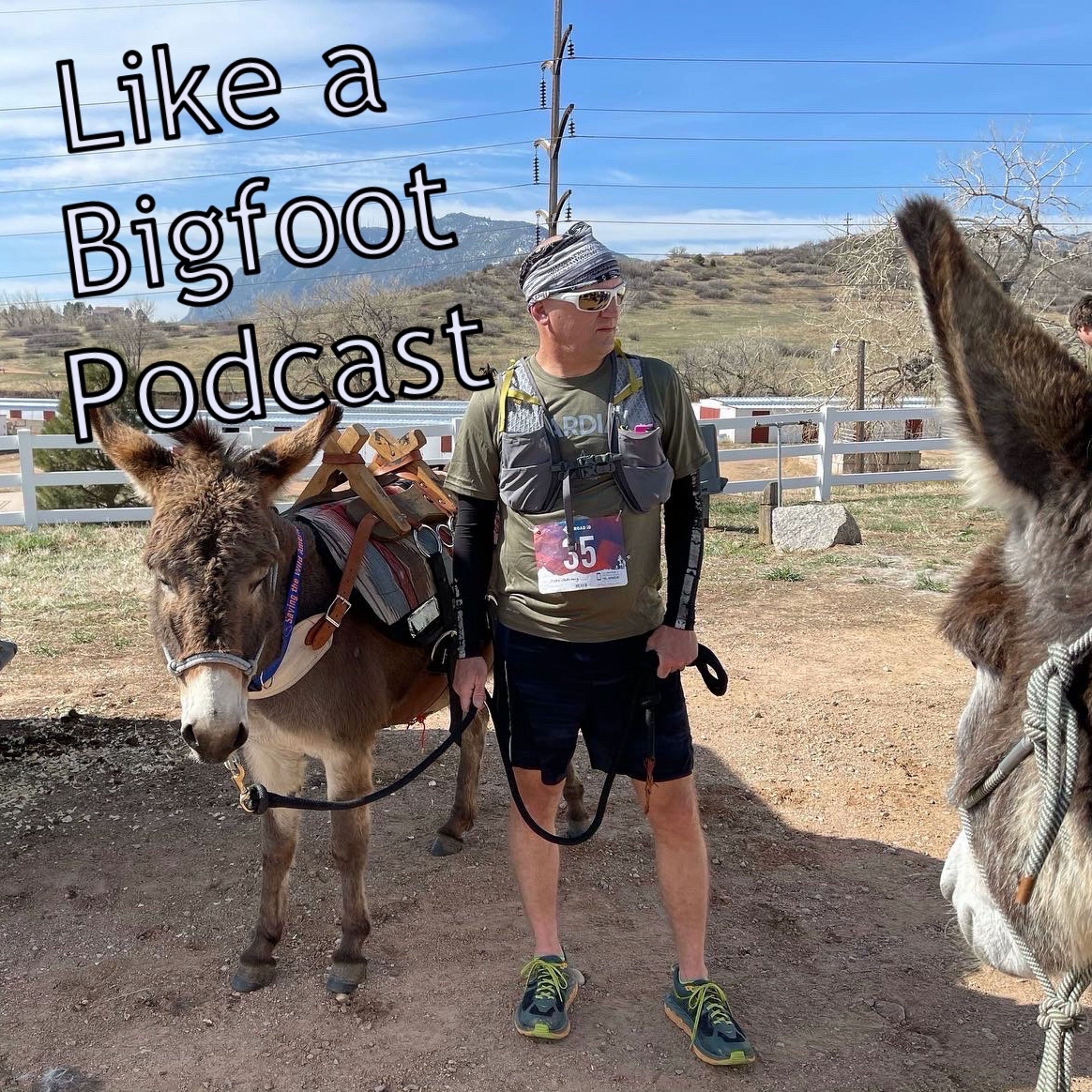 #315: Micky Sederburg -- Pack Burro Racing...aka Trail Running With Donkeys episode artwork