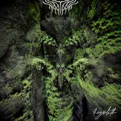 Silence Of The Blossom