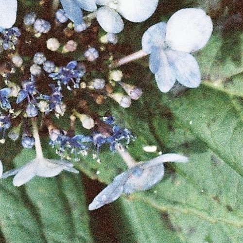 Can I have this dance