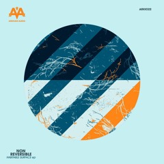 GTG PREMIERE | Non Reversible - Habitable Surface [ARKIO22]