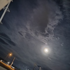 Swifthomicide- Love me baby