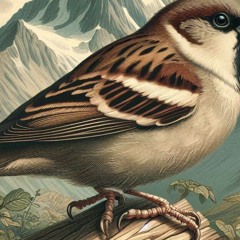 Large Foot Sparrow Beast