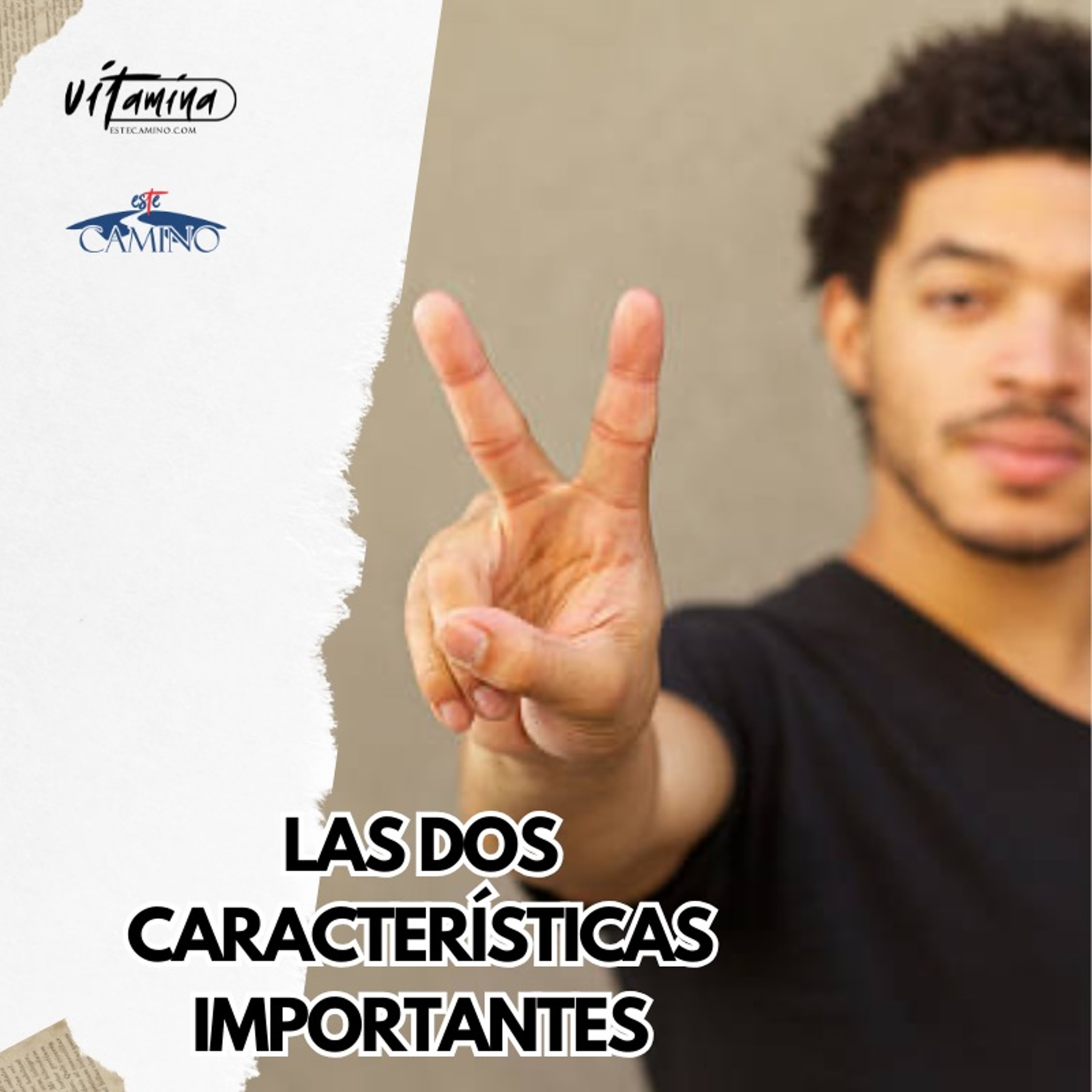 Las Dos Características Importantes, Tony episode artwork