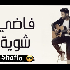 ‏Fady Shewaya | حمزة نمرة - فاضي شوية (Remix2021)