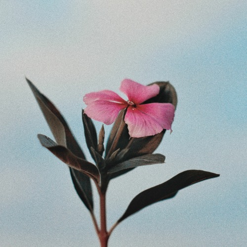 From Creation