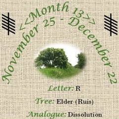 Celtic Tree Calendar Month 13: 'Winter Woman' by Anne-Marie Kennedy