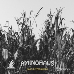 Aminohaus - Lost in Translation (Original Mix) [Deepening Records]