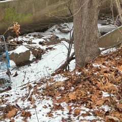 Thought (proddeadrise)