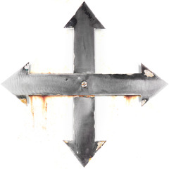 Про Виталия Киора