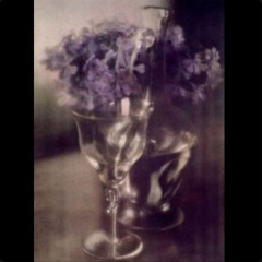 When Love Becomes a Fragile Memory