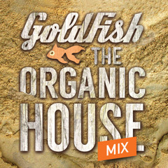 Organic Night Mix, 2025 július