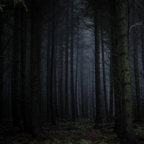 MintCondition(er) :P