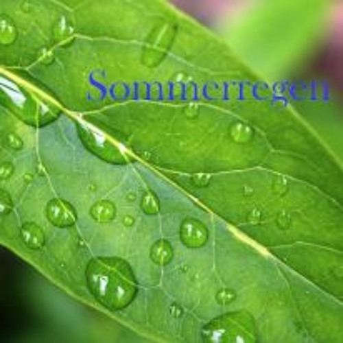Sommerregen - Juli 22