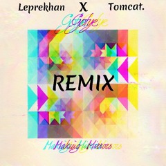 Somebody That I Used To Know (Leprekhan x Tomcat. Remix)