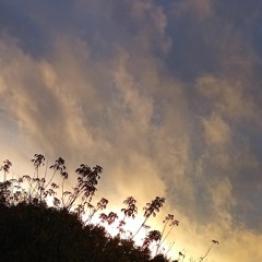 SADBOI x 2Kvėpavimas - Ašaros kris