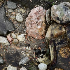 'in the midst of her elemental composition'