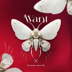 AXIOM0076: Enis Coban, Shera (TR) - Want