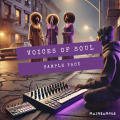 “Voices Of Soul“ Sample Pack DEMO