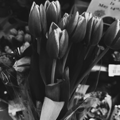 Bruised (Prod. StoneSoWavy!)