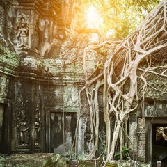 La Fay - Tropical Gi ( Green Vibe / Original Mix ) 127 F No Master Demo work
