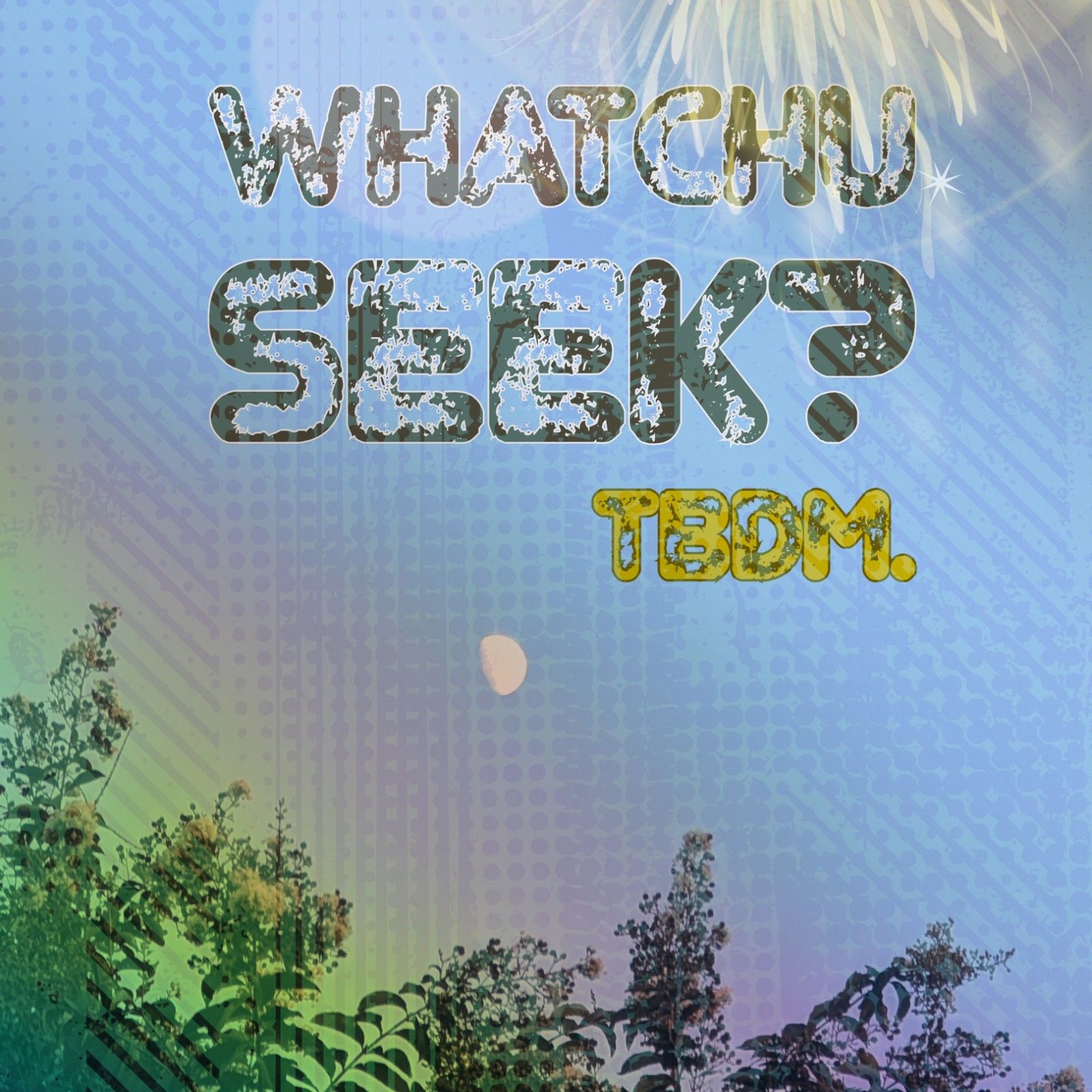 Whatchu Seek episode artwork