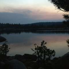 I Still Dream About You