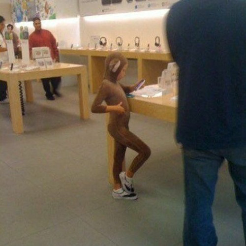 Gay Little Monkey