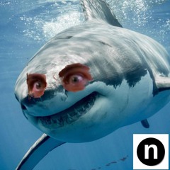 neveroddoreven - mark the shark