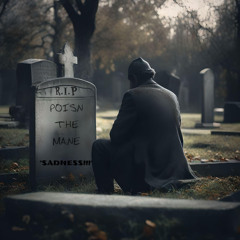 SADNESS!!! - POISNTHEMANE [Prod. LpY]