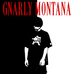 GNARLY MONTANA (PROD. ALCURISTS)