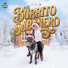 Mi Burrito Sabanero