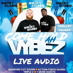 COME HOLD AH VYBZ - LIVE AUDIO