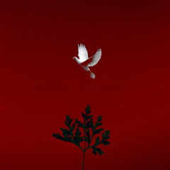 COCO FT DONNYTHECYNIC