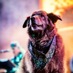 Cocoa Dub [free download]