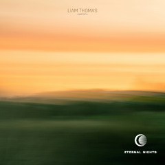 Liam Thomas - Care For U
