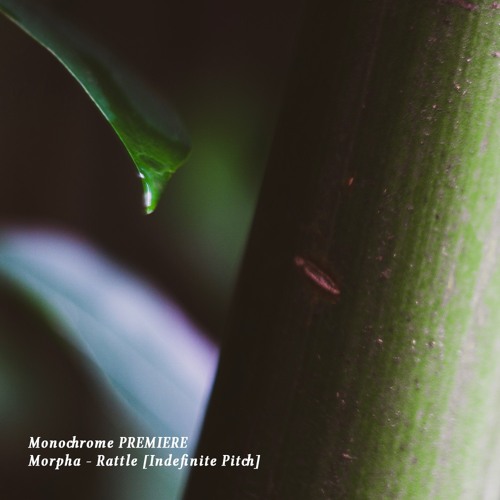 𝐏𝐑𝐄𝐌𝐈𝐄𝐑𝐄 : Morpha - Rattle [Indefinite Pitch]