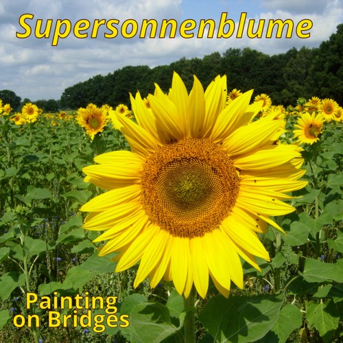 Supersonnenblume