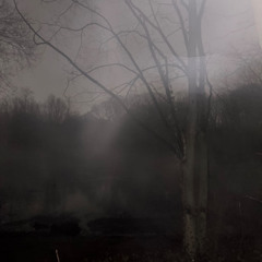 i try really hard, actually.