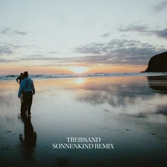 Paul Kalkbrenner - Treibsand (Sonnenkind Remix)