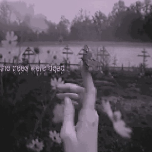 i daydreamt about a butterfly