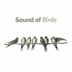 Natural Bird Sounds